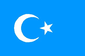 1944-1946年的东突厥斯坦共和国国旗.jpg