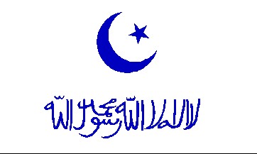 1932-1933年的东突厥斯坦国旗.jpg