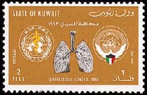 B1963防治结核病(人的肺部结构，世界卫生组织徽志.jpg