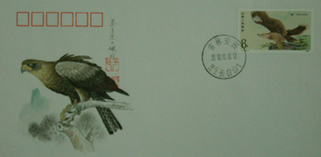 翎毛（于佩明-鹰）.jpg