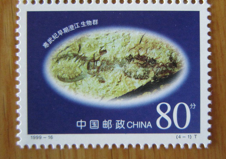 中国 澄江化石遗址[1999].jpg