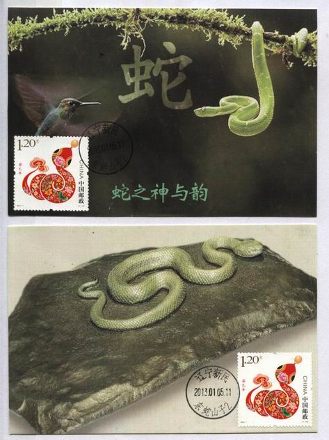 2..2013年蛇极限片多种版本（2012年沈阳动物协会-动物原型版-1.jpg