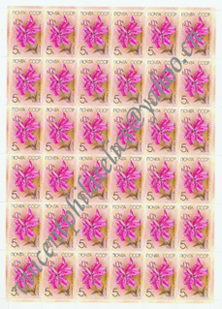 Sheet Stamp-Russia  SC-1-AWN-29.jpg