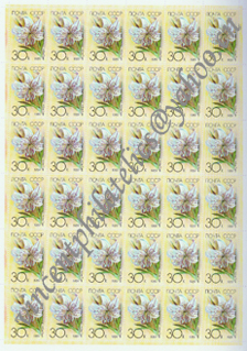 Sheet Stamp-Russia  SC-4-AWN-26.jpg