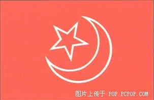 东突厥斯坦人民共和国国旗.jpg