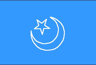 1933-1934年的东突厥斯坦伊斯兰共和国国旗.jpg