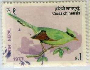 C尼泊尔邮票信销地图鸟.jpg
